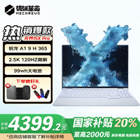 机械革命 无界14/15 X Pro  高性能轻薄本学生设计办公游戏 15XPro AI