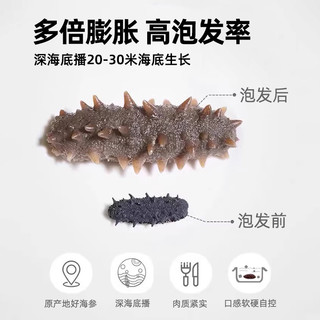 晓芹干海参礼盒深海海参干货100克辽刺参大连海刺参 100g