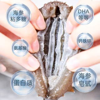 晓芹干海参礼盒深海海参干货100克辽刺参大连海刺参 100g