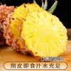 村下佬 正宗海南金钻凤梨 4.5斤 台农17号 包邮