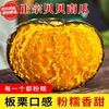 京鲜匠 山东贝贝南瓜 栗香小南瓜 粉糯老瓜新鲜蔬菜香甜软糯产地直发 5斤实惠（4-9个）净 4.5斤