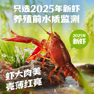 海底捞小龙虾25年新虾麻辣蒜蓉整虾1.25kg*2盒加热即食非龙虾尾