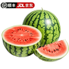 果农侠 西瓜 国产云南麒麟西瓜现摘速发 JD 新鲜时令水果 精选净重8-9斤1个瓜+多层保护