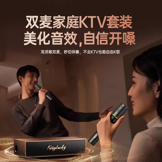  KINYO/金运 蓝牙音响 家庭KTV音响套装+麦克风+音响一体+电视功放机+话筒