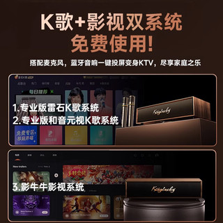  KINYO/金运 蓝牙音响 家庭KTV音响套装+麦克风+音响一体+电视功放机+话筒