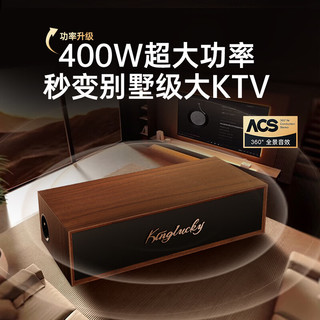  KINYO/金运 蓝牙音响 家庭KTV音响套装+麦克风+音响一体+电视功放机+话筒