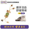 宜特 EETOYS 薄荷球木天蓼串猫玩具逗猫棒剑麻磨牙木天蓼猫薄荷球宠物玩具