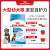 皇家 MAJ30大型犬幼犬狗粮 4kg