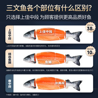 三文鱼刺身新鲜海鲜日料拼盘冰鲜挪威进口生鲜三纹鱼整条鲑鱼中段