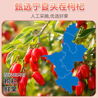 VCJOH枸杞原浆宁夏头茬枸杞鲜榨鲜红枸杞子原浆枸杞汁父母 6盒装【30ml*60袋】