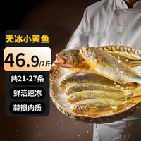 海皇湾黄花鱼 生鲜 鱼类 大黄鱼海鲜水产海鲜鱼类 小黄花鱼2斤】21-27条