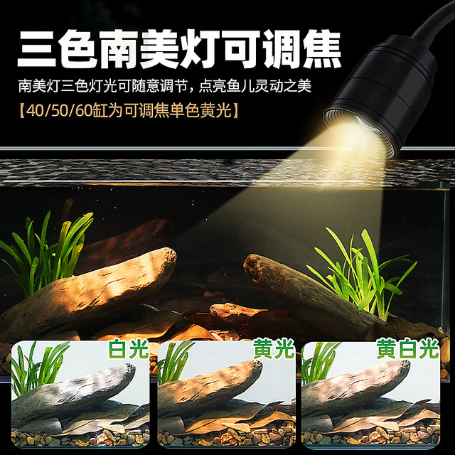 爬将军 2025溪流缸南美鱼缸 30溪流缸 雨淋造浪
