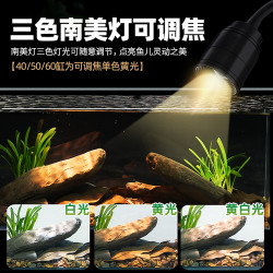 爬将军 2025溪流缸南美鱼缸 30溪流缸 雨淋造浪