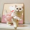 阿莫尔 猫咪裙子夏季薄款猫咪衣服可爱粉色南瓜裙布偶蓝猫宠物狗狗公主裙 粉色 S 建议3-5斤  背长20cm