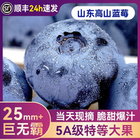 菲农 云南蓝莓 中果 12-15mm 2盒