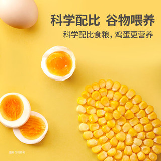  sundaily farm/圣迪乐村 源头直发 鲜鸡蛋  2.7斤 30枚