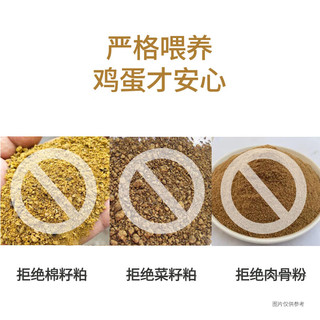 sundaily farm/圣迪乐村 源头直发 鲜鸡蛋  2.7斤 30枚