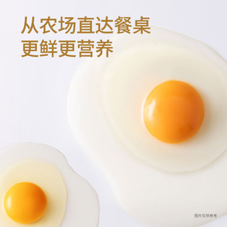 sundaily farm/圣迪乐村 源头直发 鲜鸡蛋  2.7斤 30枚