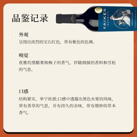 MONTES蒙特斯开垦探索者系列 马尔贝克干红葡萄酒 阿根廷原瓶进口红酒 品丽珠干红 双支装