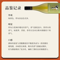 MONTES蒙特斯开垦探索者系列 马尔贝克干红葡萄酒 阿根廷原瓶红酒 霞多丽干白750ml*6 整箱装
