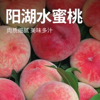 京鲜生江苏阳湖水蜜桃 12个装 单果200g+  源头直发