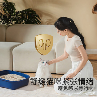 天净 豆腐混合猫砂 可冲厕所 2.7kg*6包 T4原锁纱网