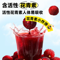 扬百利仙居杨梅汁饮品果蔬汁饮料果汁整箱瓶装饮品