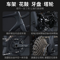 凤凰 R7 碳纤维车架油碟刹公路自行车