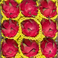 CAIFAN海南蜜宝 红心火龙果 金都一号单果约400~500g 新鲜当季水果礼盒 【精选大果】 10斤