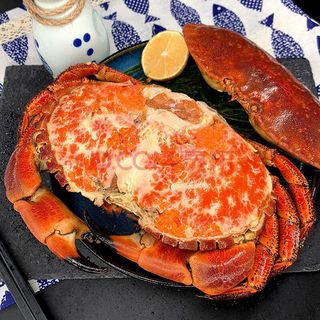 【现货】魃鲜 面包蟹 大只面包蟹 熟食黄金蟹 熟冻即食螃蟹 3只装 600-801g