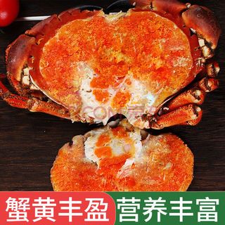 【现货】魃鲜 面包蟹 大只面包蟹 熟食黄金蟹 熟冻即食螃蟹 3只装 600-801g