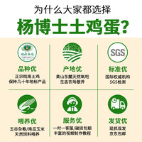 杨博士皖南深山散养土鸡蛋生鲜初生蛋新鲜溏心蛋笨鸡蛋头窝蛋 源头直发 【90枚】50土鸡蛋+40初生蛋