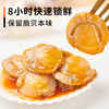 渔大叔 Uncle Fishing 即食扇贝肉湾仔贝试吃装 4小包 100g