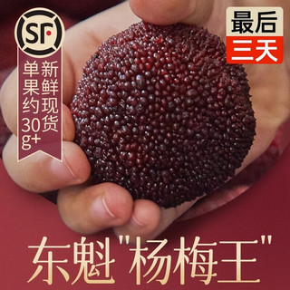 仙居杨梅 浙江仙居东魁杨梅【EMS空运-多地次日达】新鲜水果礼盒物品 S+级杨梅皇6斤96枚【鸡蛋大小】 9A级｜至尊果礼盒装