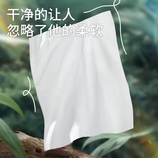  爱怡优 加厚 湿厕纸