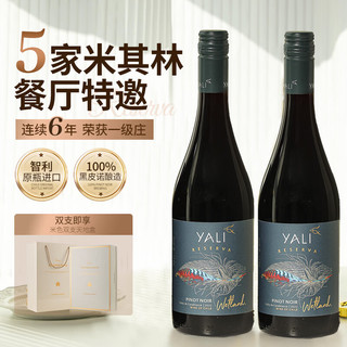 佳沃醇美汇【连续4年智利一级庄】智利原瓶进口红酒 干红葡萄酒礼盒送礼 安第斯之翼黑皮诺 2支
