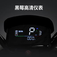 宝岛电动摩托车1200W大功率高速电摩长续航时尚成人两轮电动车 /前置油压碟刹/防爆真空胎 裸车无电池不推荐