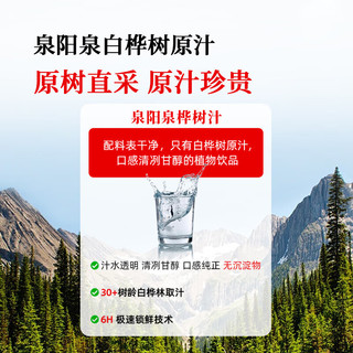 泉阳泉 白桦树原汁 300ml*12瓶 果汁饮料