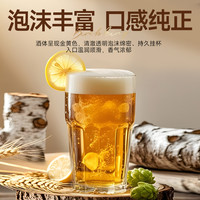 桦王 原浆 白桦树汁精酿啤酒 1x6x500ml 包装 500ml