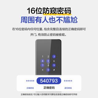 统帅 LFD-E200-CA 指纹密码智能门锁 执手款