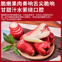 优味集【顺丰JD】黑金刚莲雾海南特产孕妇低糖水果整箱礼品节日送礼 3斤净果（商超果48-78g）-顺丰