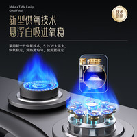 先科（SAST）燃气灶【20%】天然液化气灶具 煤气灶双灶 定时智能燃气灶大火力  家用嵌入式灶具 【九腔鸳鸯】防风聚焰/熄保/童锁（热售） 罐装液化气5.0KW