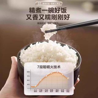  SUPOR/苏泊尔 双热源球釜 电饭煲  深卡其布色