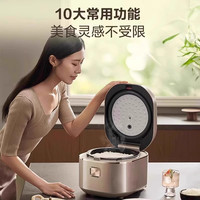 SUPOR/苏泊尔 双热源球釜 电饭煲  深卡其布色