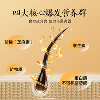 五谷磨房 黑之养爆发粉核桃芝麻黑豆粉 428g*1罐