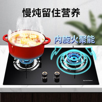 雅乐思 Rnice XS2195B家用燃气灶  国标二级能效 液化气