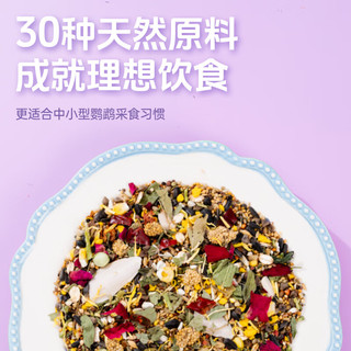 宠尚天 鸟食鸟饲料小太阳和尚玄风鹦鹉花草种子粮鸟粮食物豪华鸟食