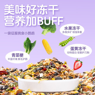 宠尚天 鸟食鸟饲料小太阳和尚玄风鹦鹉花草种子粮鸟粮食物豪华鸟食