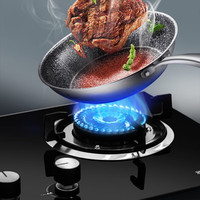  Rnice/雅乐思 国标一级能效 家用燃气灶  液化气(20Y)