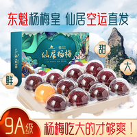 仙居杨梅 浙江仙居杨梅东魁杨梅新鲜水果礼盒端午节礼物 3斤60枚颗粒装｜大果18-23g
